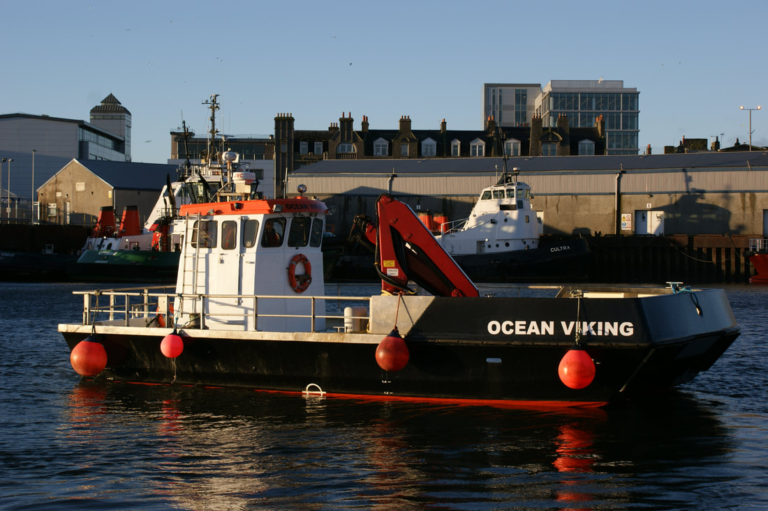 ocean-viking_orig